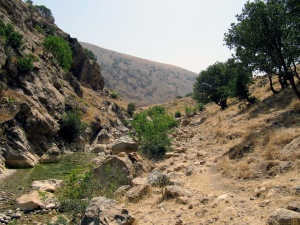 IRAN10 -1