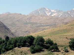 IRAN10-3