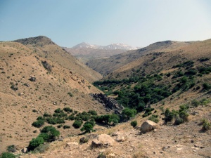 IRAN10-4