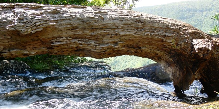 Black River Gorges - the upper part of one of the lesser-known waterfalls